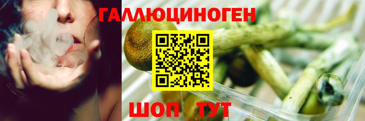 Псилоцибиновые грибы ЛСД  Псилоцибиновые грибы Cubensis  Иркутск  Вход с VPN 